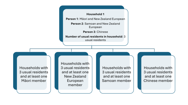 Diagram showing how a household with three members identifying with different ethnic groups is counted.