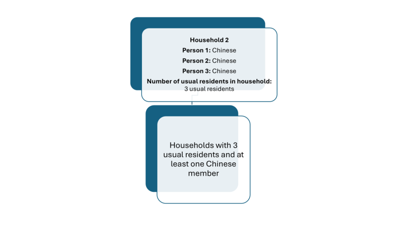 Diagram shows how a household with three members identifying with the same ethnic group is counted.