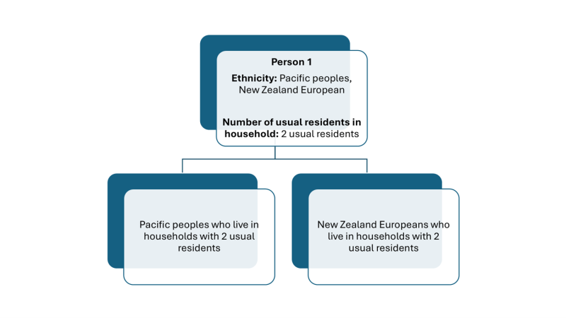 Diagram showing how an individual who identifies with two different ethnic groups is counted.