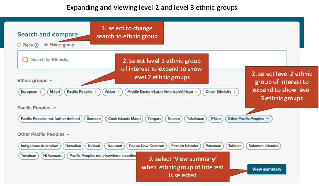 Place and ethnic group summaries user guide | Stats NZ